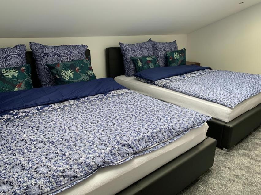 Look Of Dreams - Apartamenty Sloneczny I Ksiezycowy Będzin Екстериор снимка